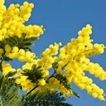 בית נופש Maison Soleil *